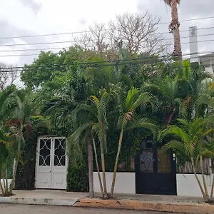 https://hotel-downtown-merida.hotelsmerida.org